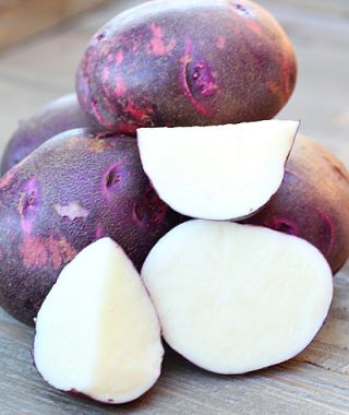 Purple Viking Potato