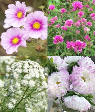 The Romantic Bouquet Garden