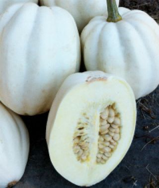 Mashed Potatoes Acorn Squash