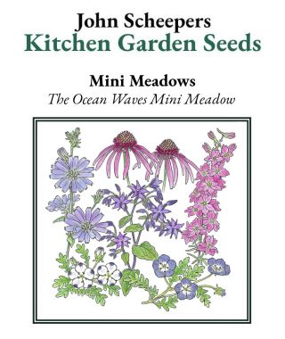 The Ocean Waves Mini Meadow