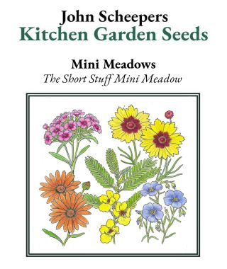 The Short Stuff Mini Meadow