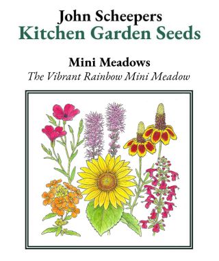 The Vibrant Rainbow Mini Meadow