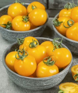 Egg Yolk Cherry Tomato 