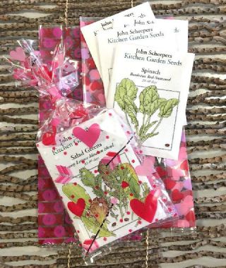 Valentine's Day Gift Bag