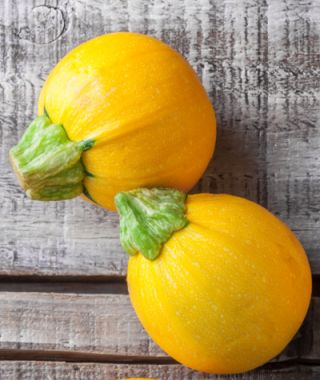 Sun Ball Summer Squash