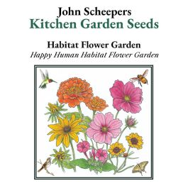 Baby's Breath  John Scheepers Kitchen Garden Seeds