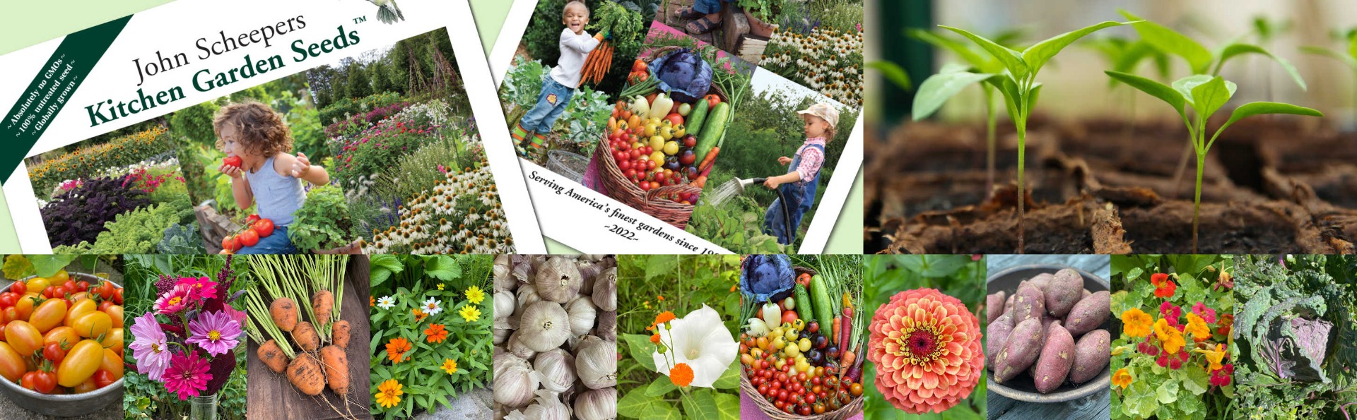 Kitchen Garden Seeds