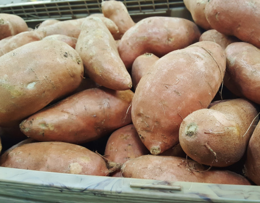 Sweet Potato Growing Instructions